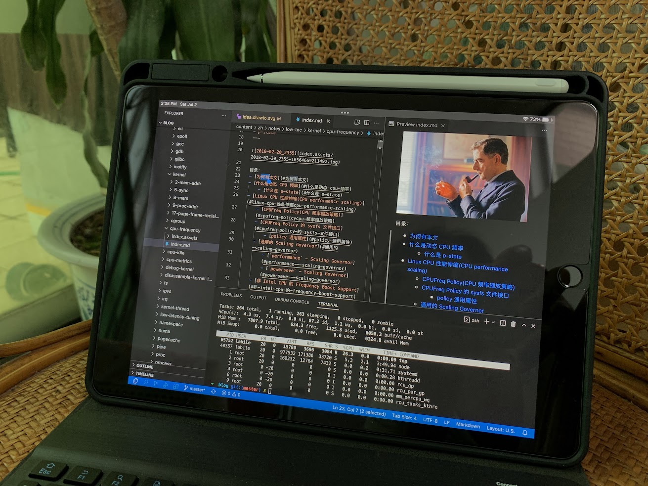 ipad 使用运行于树莓派上的 vscode