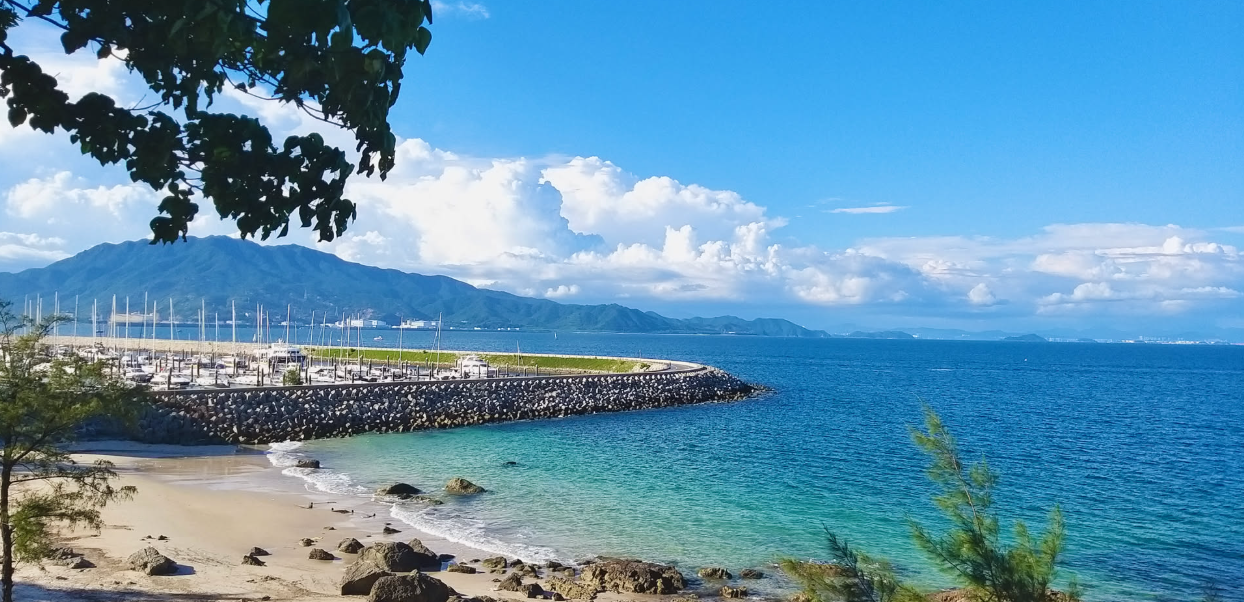 摄于我于 2025年8月底的一次深圳桔钓沙之行