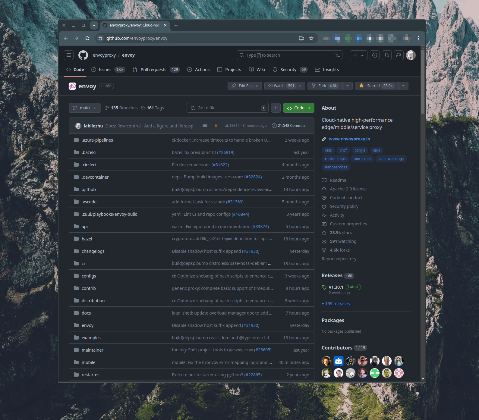 image-20240501095259225